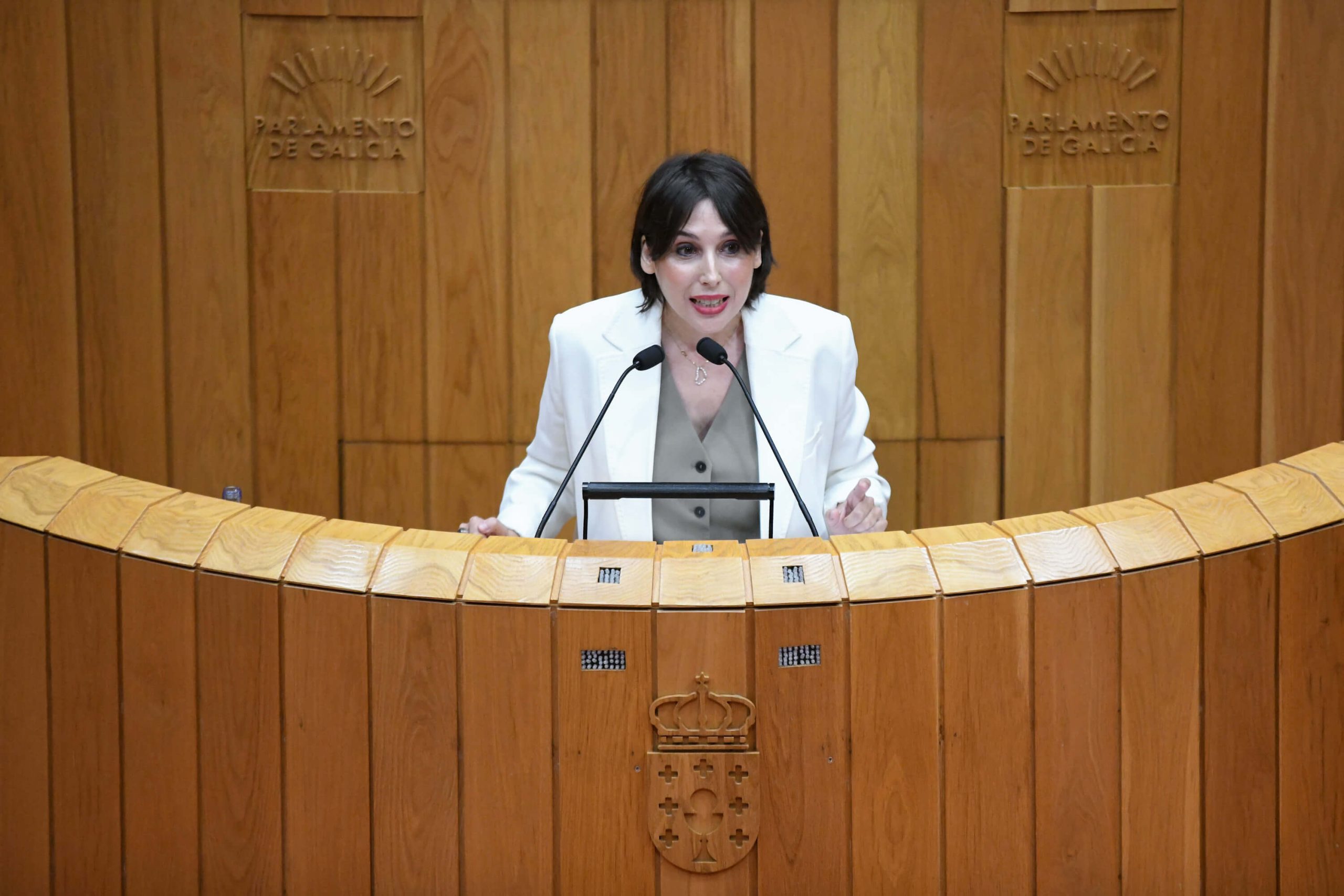 20250521 LorenzanaParlamentoAranceis (1)